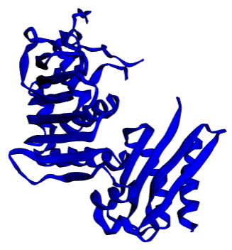MLH1