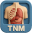 TNM_Builder